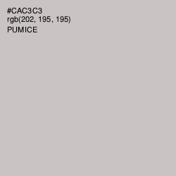#CAC3C3 - Pumice Color Image