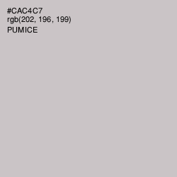 #CAC4C7 - Pumice Color Image