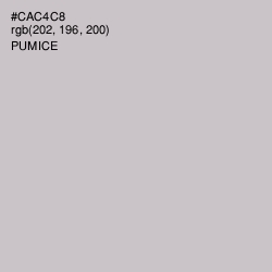 #CAC4C8 - Pumice Color Image