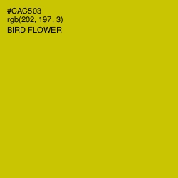 #CAC503 - Bird Flower Color Image