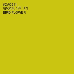 #CAC511 - Bird Flower Color Image