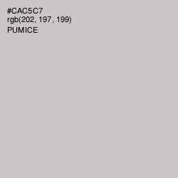 #CAC5C7 - Pumice Color Image