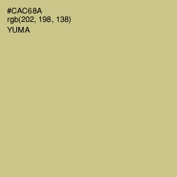 #CAC68A - Yuma Color Image