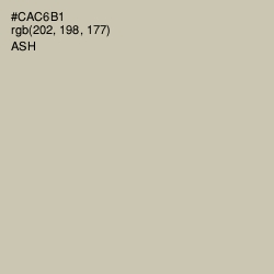 #CAC6B1 - Ash Color Image