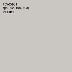 #CAC6C1 - Pumice Color Image