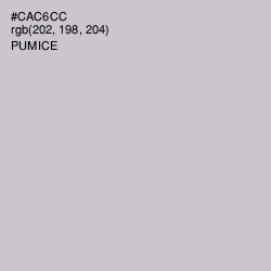 #CAC6CC - Pumice Color Image