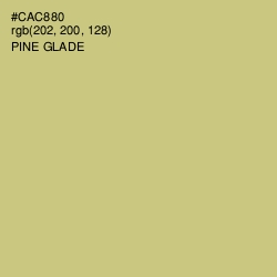 #CAC880 - Pine Glade Color Image