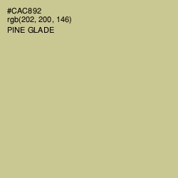 #CAC892 - Pine Glade Color Image