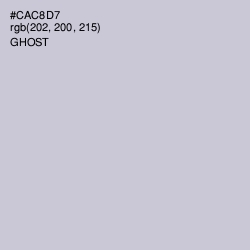 #CAC8D7 - Ghost Color Image
