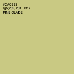 #CAC983 - Pine Glade Color Image