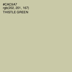 #CAC9A7 - Thistle Green Color Image