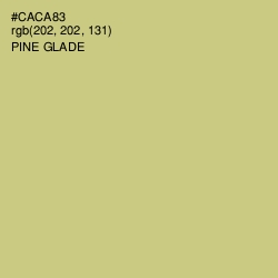 #CACA83 - Pine Glade Color Image