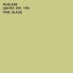 #CACA88 - Pine Glade Color Image