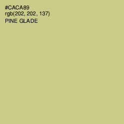 #CACA89 - Pine Glade Color Image