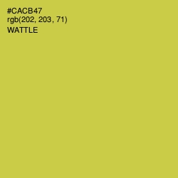 #CACB47 - Wattle Color Image