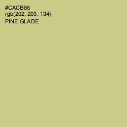 #CACB86 - Pine Glade Color Image