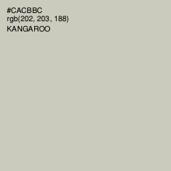 #CACBBC - Kangaroo Color Image