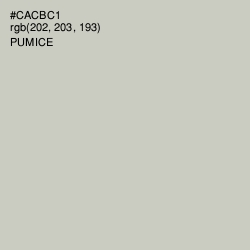 #CACBC1 - Pumice Color Image