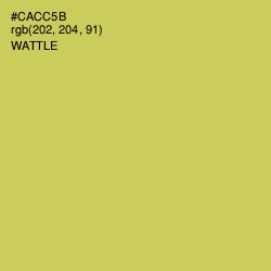 #CACC5B - Wattle Color Image