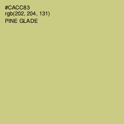 #CACC83 - Pine Glade Color Image