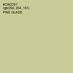 #CACC97 - Pine Glade Color Image