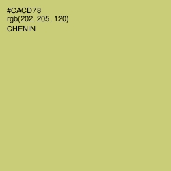 #CACD78 - Chenin Color Image