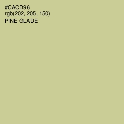 #CACD96 - Pine Glade Color Image