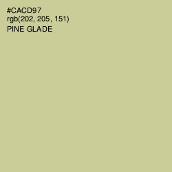 #CACD97 - Pine Glade Color Image