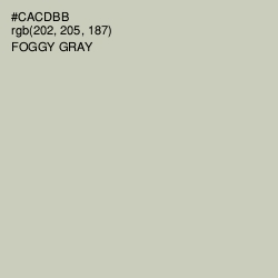 #CACDBB - Foggy Gray Color Image