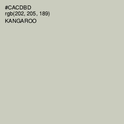 #CACDBD - Kangaroo Color Image