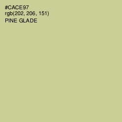 #CACE97 - Pine Glade Color Image