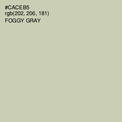 #CACEB5 - Foggy Gray Color Image