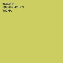 #CACF61 - Tacha Color Image