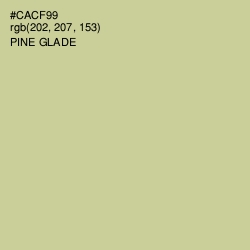 #CACF99 - Pine Glade Color Image