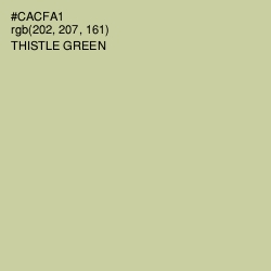 #CACFA1 - Thistle Green Color Image