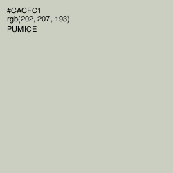 #CACFC1 - Pumice Color Image