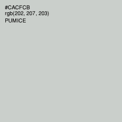 #CACFCB - Pumice Color Image