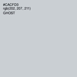 #CACFD3 - Ghost Color Image