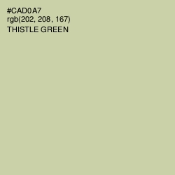 #CAD0A7 - Thistle Green Color Image