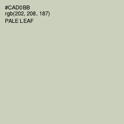 #CAD0BB - Pale Leaf Color Image