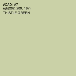 #CAD1A7 - Thistle Green Color Image