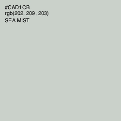 #CAD1CB - Sea Mist Color Image