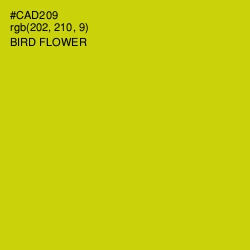 #CAD209 - Bird Flower Color Image
