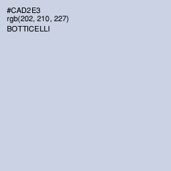 #CAD2E3 - Botticelli Color Image