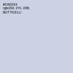 #CAD2E4 - Botticelli Color Image