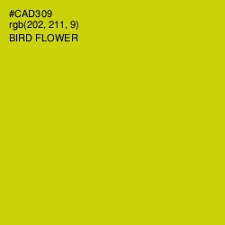 #CAD309 - Bird Flower Color Image