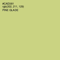 #CAD381 - Pine Glade Color Image