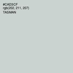 #CAD3CF - Tasman Color Image