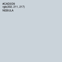 #CAD3D9 - Nebula Color Image
