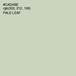 #CAD4BE - Pale Leaf Color Image